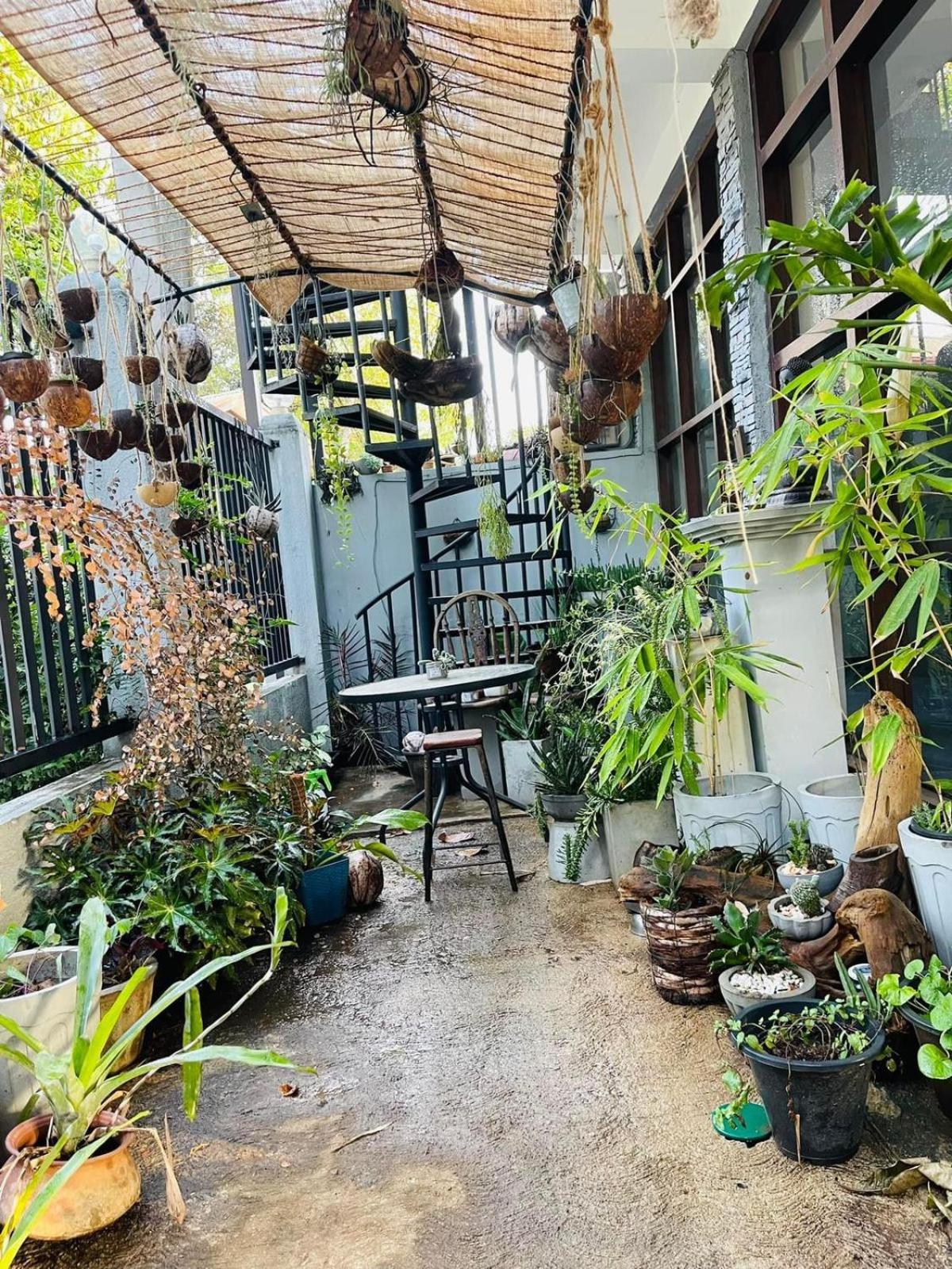קנדי Amanzi Residence מראה חיצוני תמונה